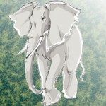 Elefant schiessen